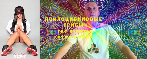 PSILOCYBIN Абдулино