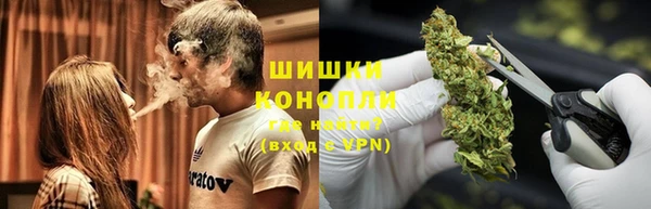 PSILOCYBIN Абдулино