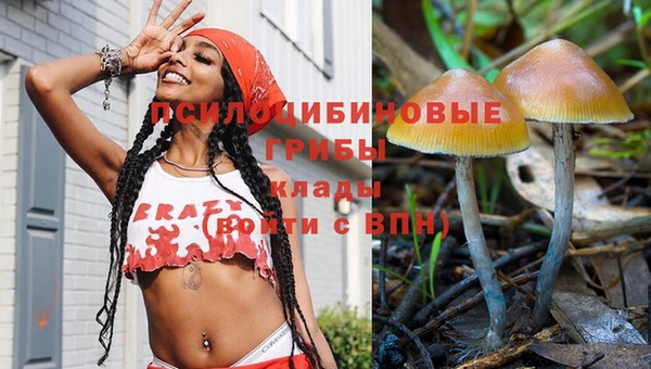 МДПВ Алзамай