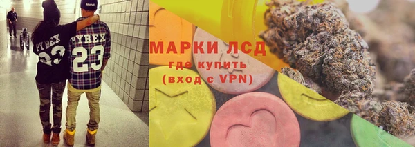 PSILOCYBIN Абдулино